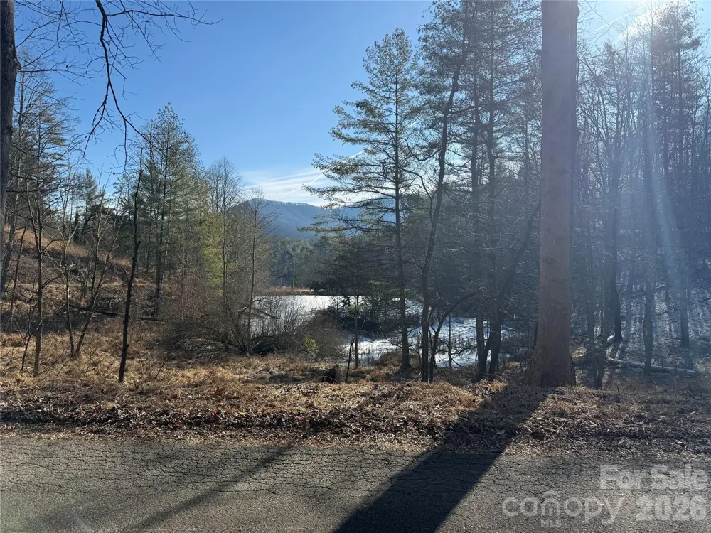 999 Echo Hill Drive #4 Green Mountain, NC 28740