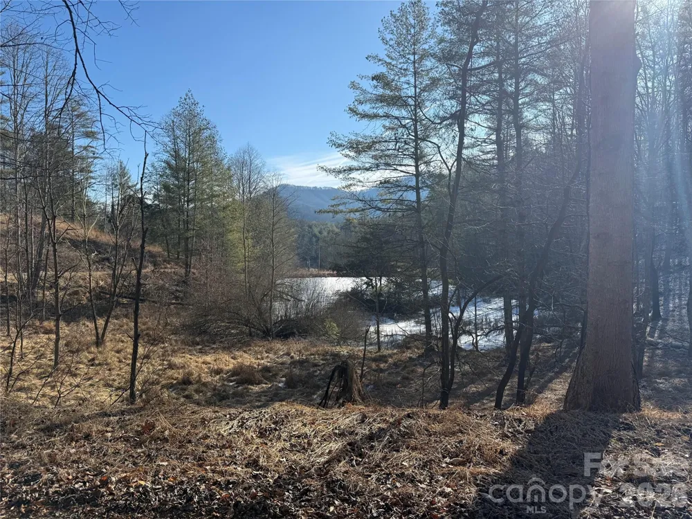 999 Echo Hill Drive #4 Green Mountain, NC 28740