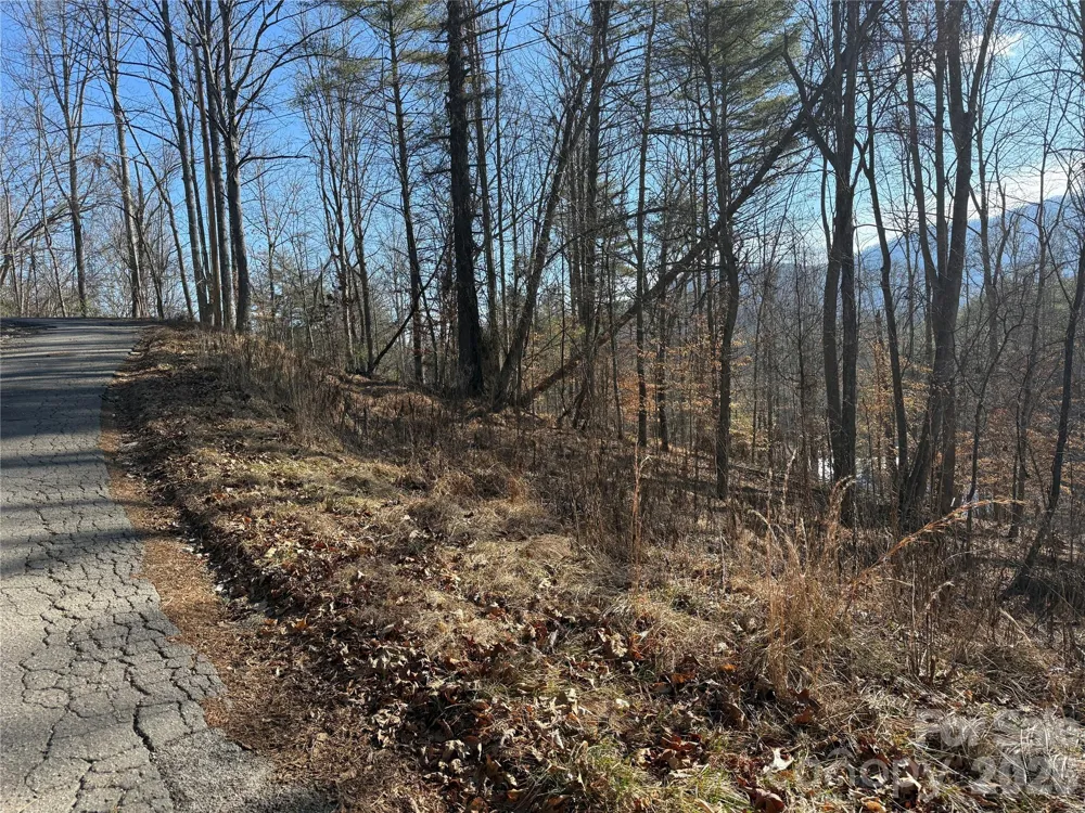 999 Echo Hill Drive #4 Green Mountain, NC 28740