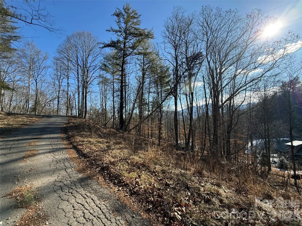 999 Echo Hill Drive #4 Green Mountain, NC 28740