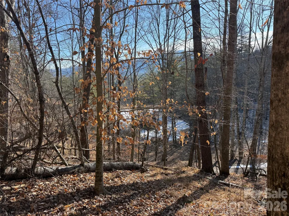 999 Echo Hill Drive #4 Green Mountain, NC 28740