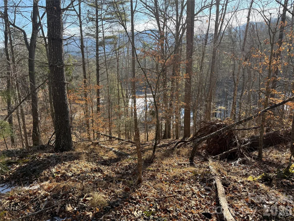 999 Echo Hill Drive #4 Green Mountain, NC 28740