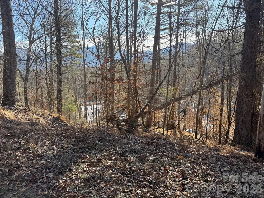 999 Echo Hill Drive #4 Green Mountain, NC 28740