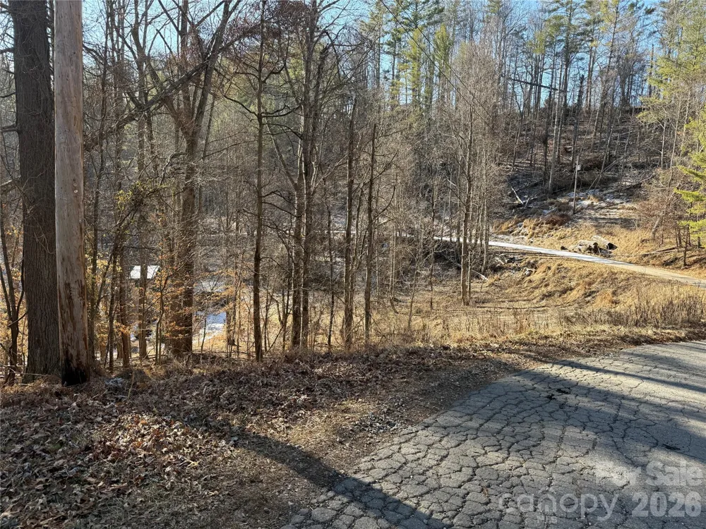 999 Echo Hill Drive #4 Green Mountain, NC 28740