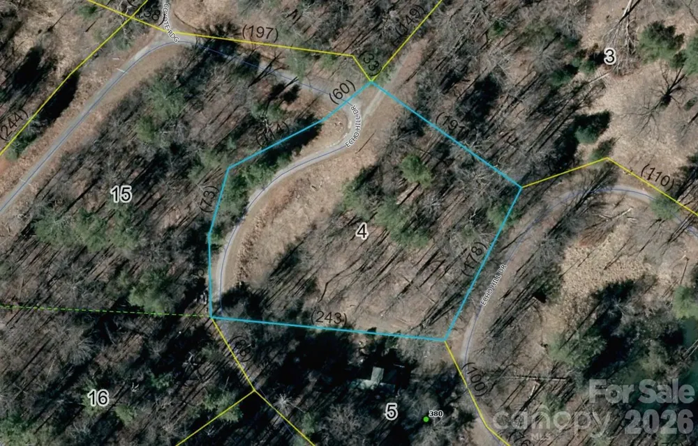 999 Echo Hill Drive #4 Green Mountain, NC 28740