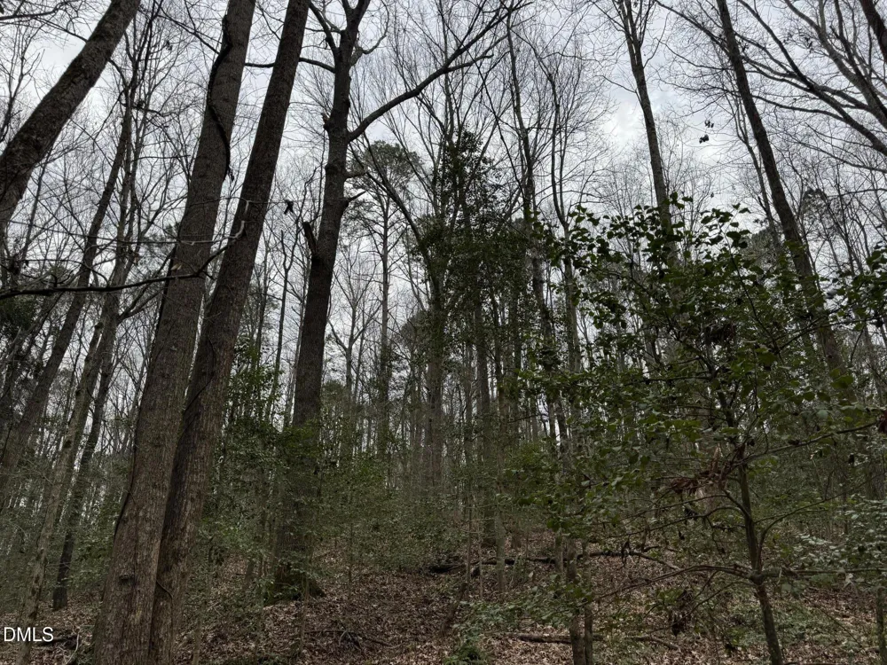 0 Eatmon Road Zebulon, NC 27597