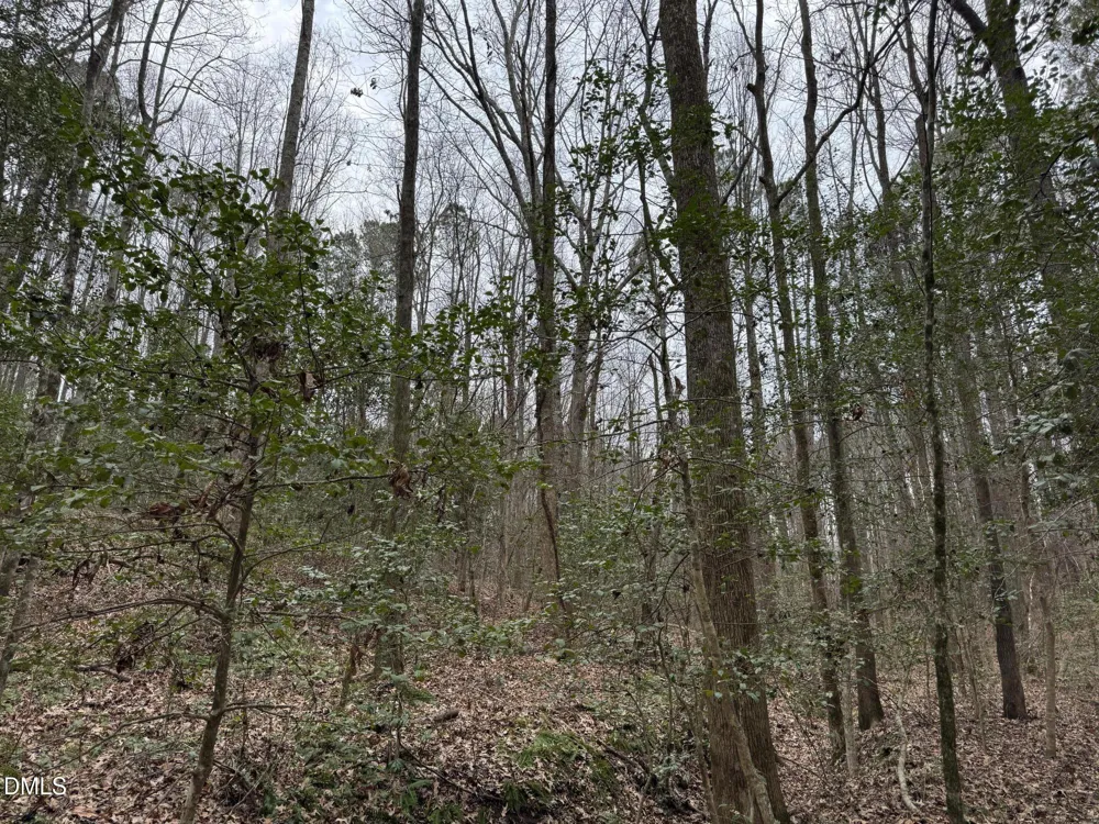 0 Eatmon Road Zebulon, NC 27597