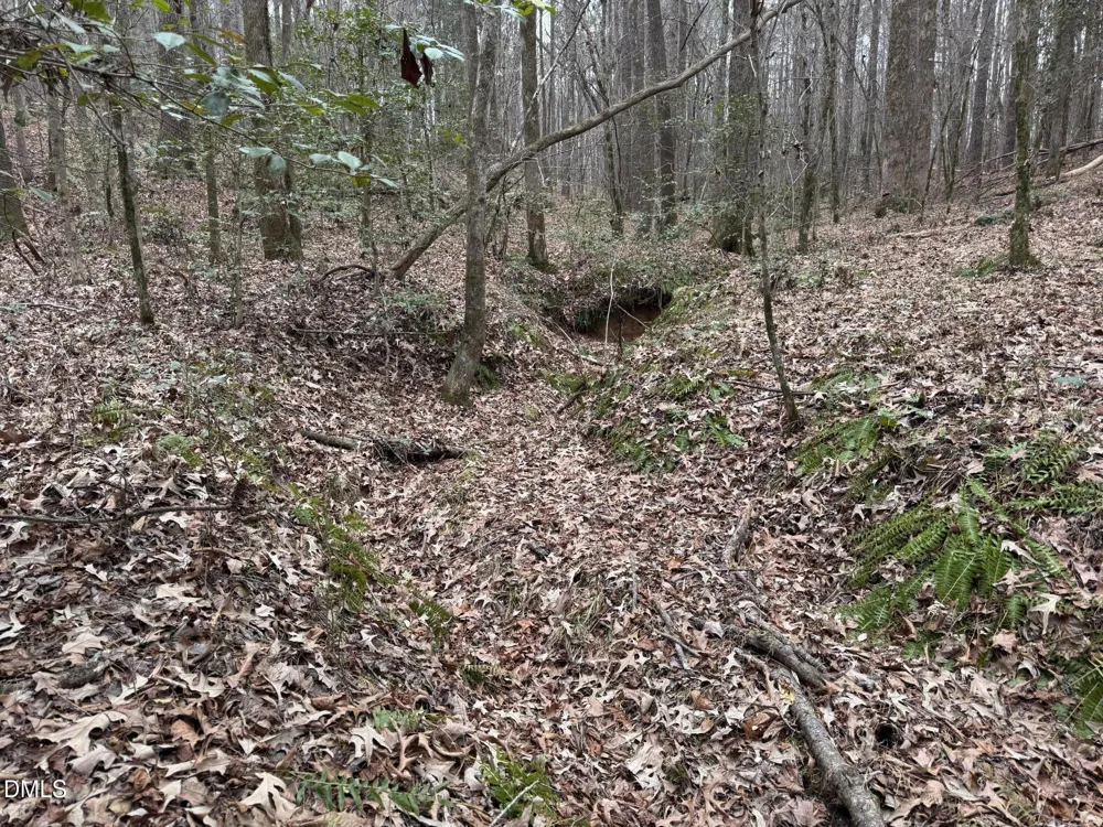 0 Eatmon Road Zebulon, NC 27597