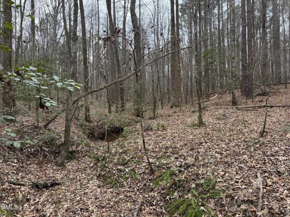 0 Eatmon Road Zebulon, NC 27597