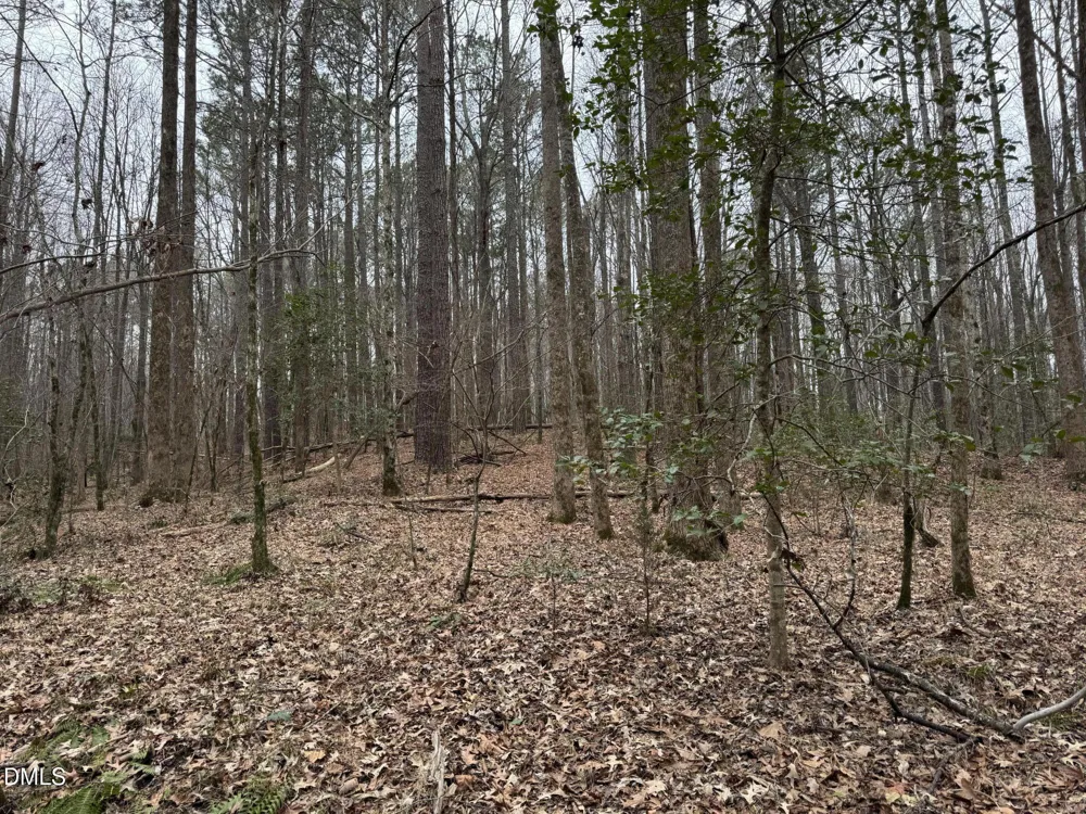 0 Eatmon Road Zebulon, NC 27597