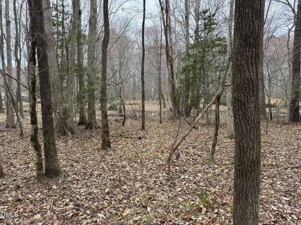 0 Eatmon Road Zebulon, NC 27597