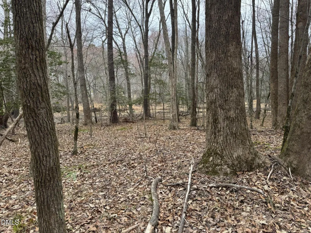 0 Eatmon Road Zebulon, NC 27597