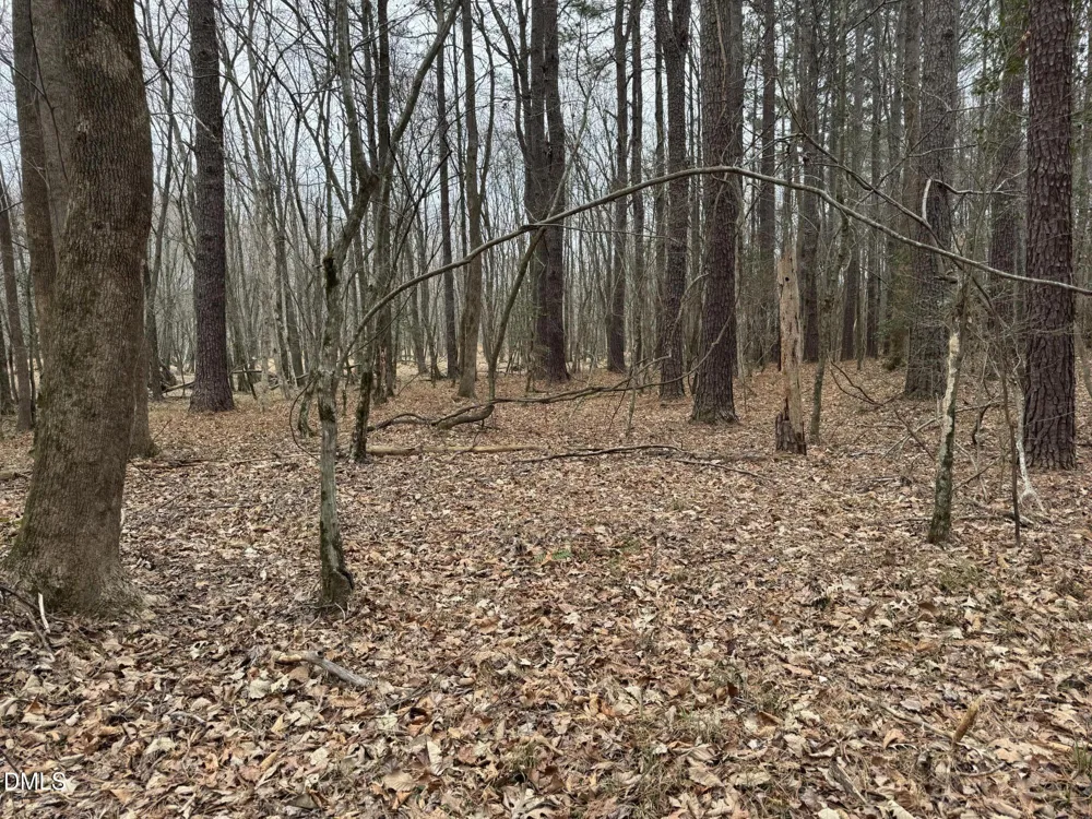 0 Eatmon Road Zebulon, NC 27597