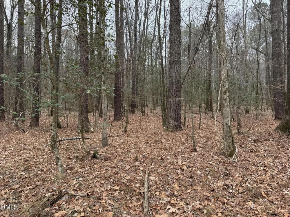 0 Eatmon Road Zebulon, NC 27597