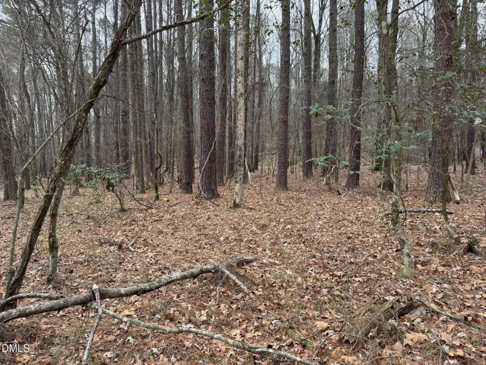0 Eatmon Road Zebulon, NC 27597