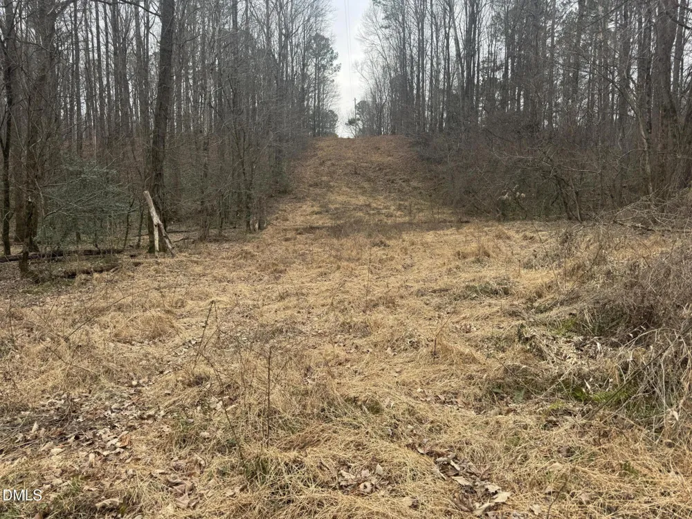 0 Eatmon Road Zebulon, NC 27597