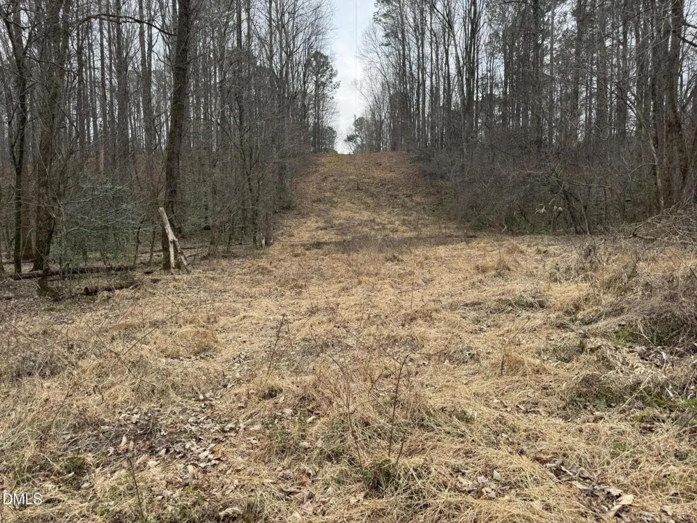 0 Eatmon Road Zebulon, NC 27597