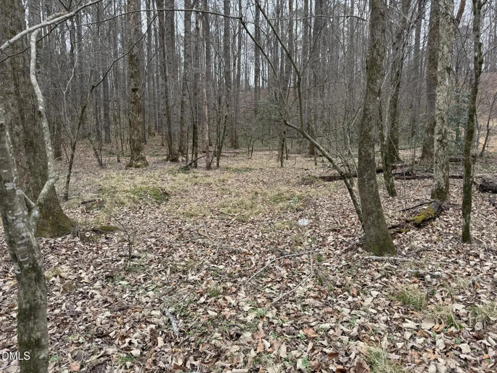 0 Eatmon Road Zebulon, NC 27597
