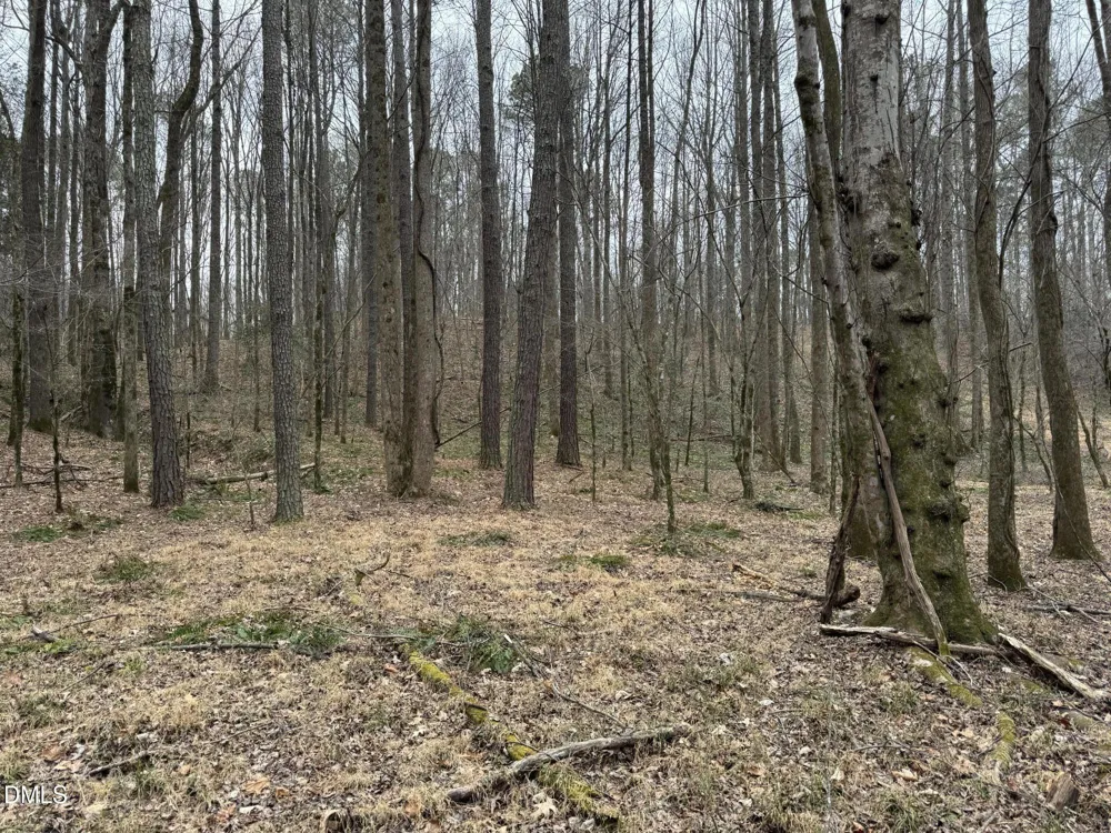 0 Eatmon Road Zebulon, NC 27597