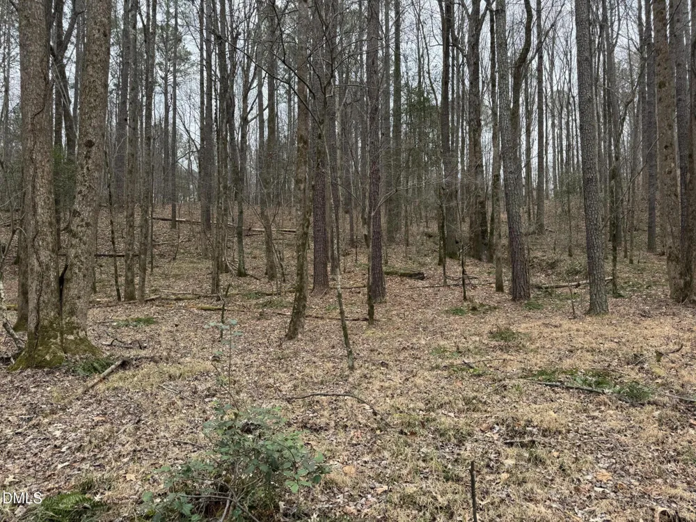 0 Eatmon Road Zebulon, NC 27597