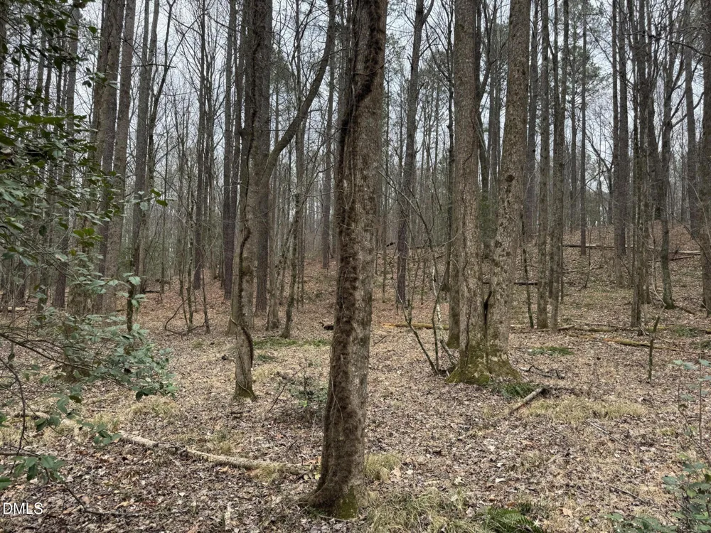 0 Eatmon Road Zebulon, NC 27597