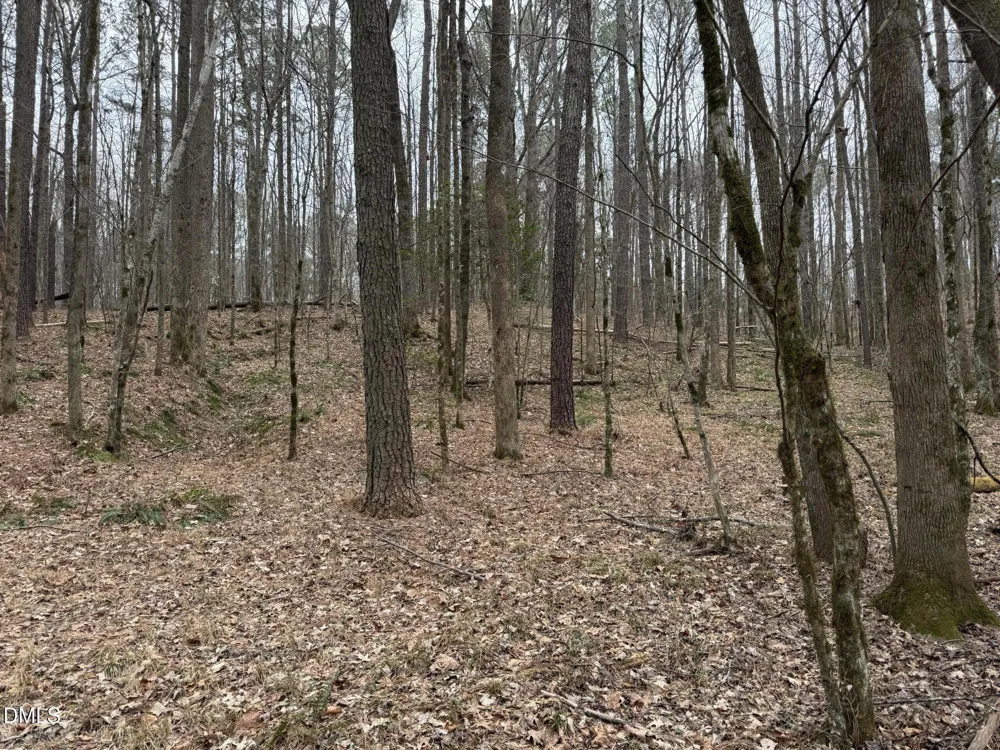0 Eatmon Road Zebulon, NC 27597