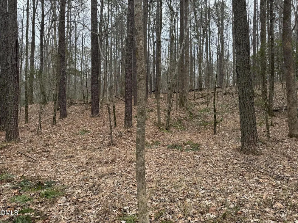 0 Eatmon Road Zebulon, NC 27597