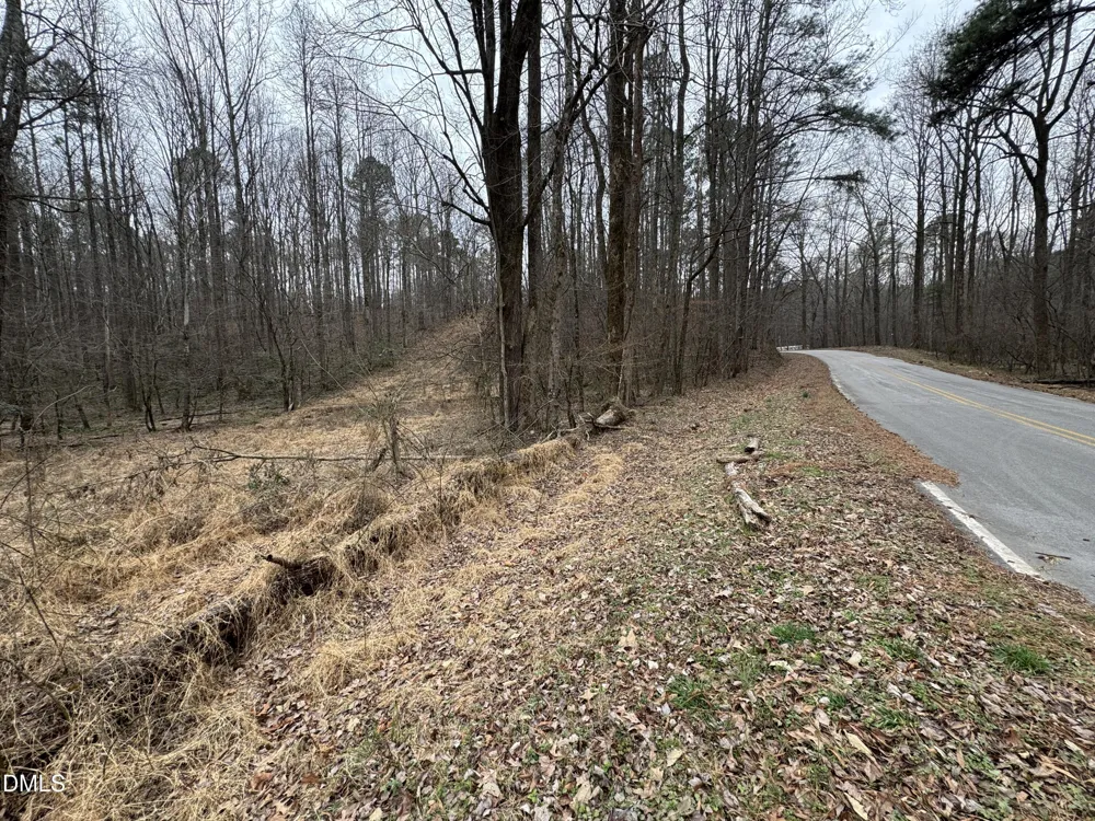 0 Eatmon Road Zebulon, NC 27597