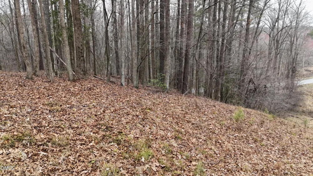 0 Eatmon Road Zebulon, NC 27597