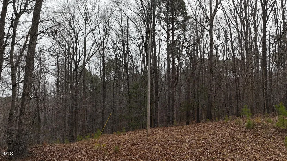 0 Eatmon Road Zebulon, NC 27597