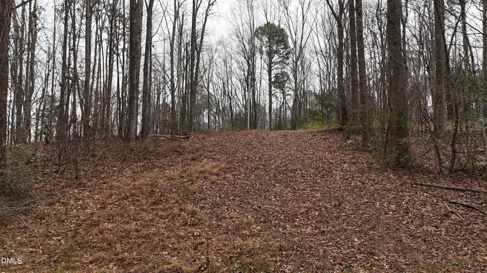 0 Eatmon Road Zebulon, NC 27597