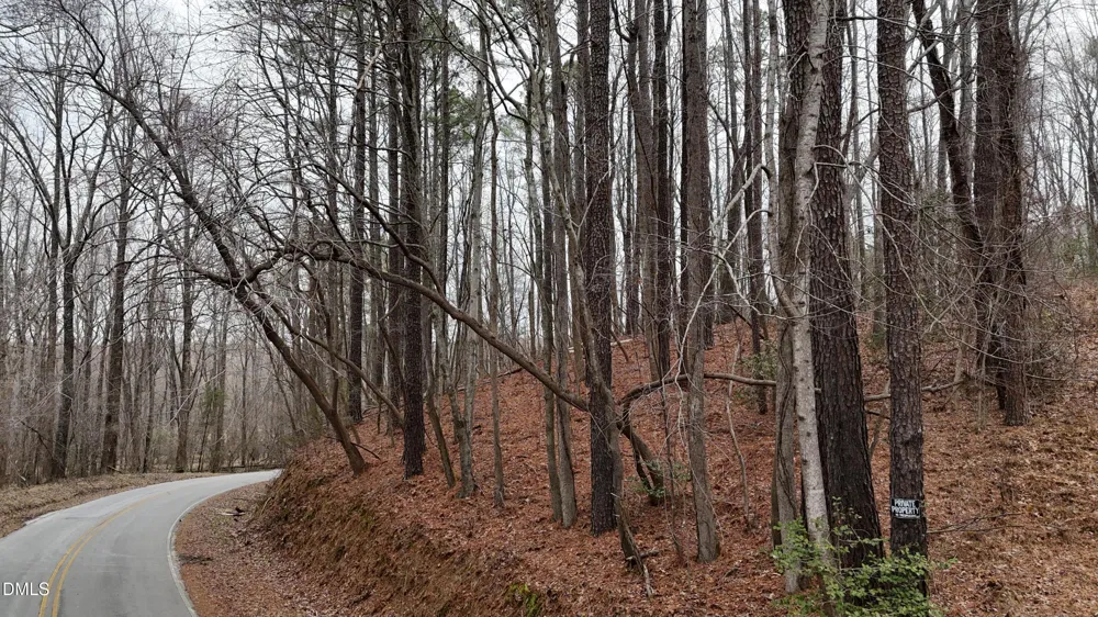 0 Eatmon Road Zebulon, NC 27597