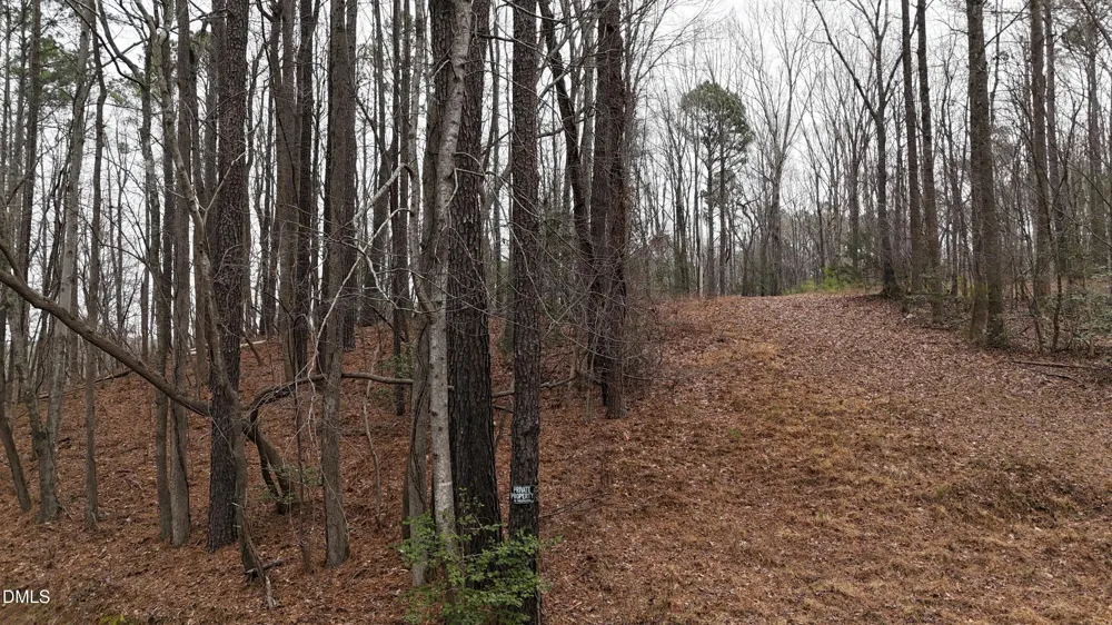 0 Eatmon Road Zebulon, NC 27597