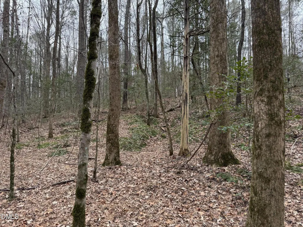 0 Eatmon Road Zebulon, NC 27597