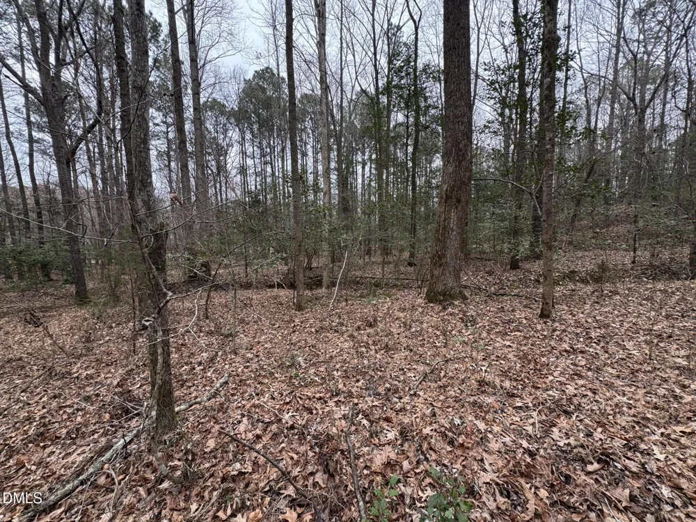 0 Eatmon Road Zebulon, NC 27597