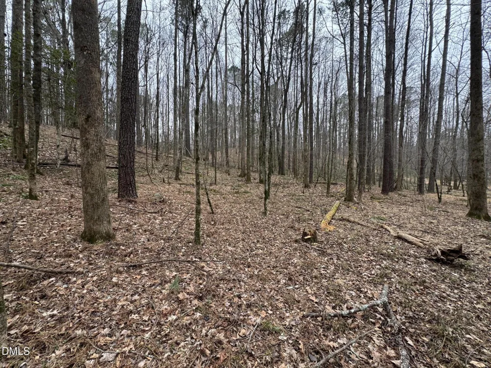 0 Eatmon Road Zebulon, NC 27597