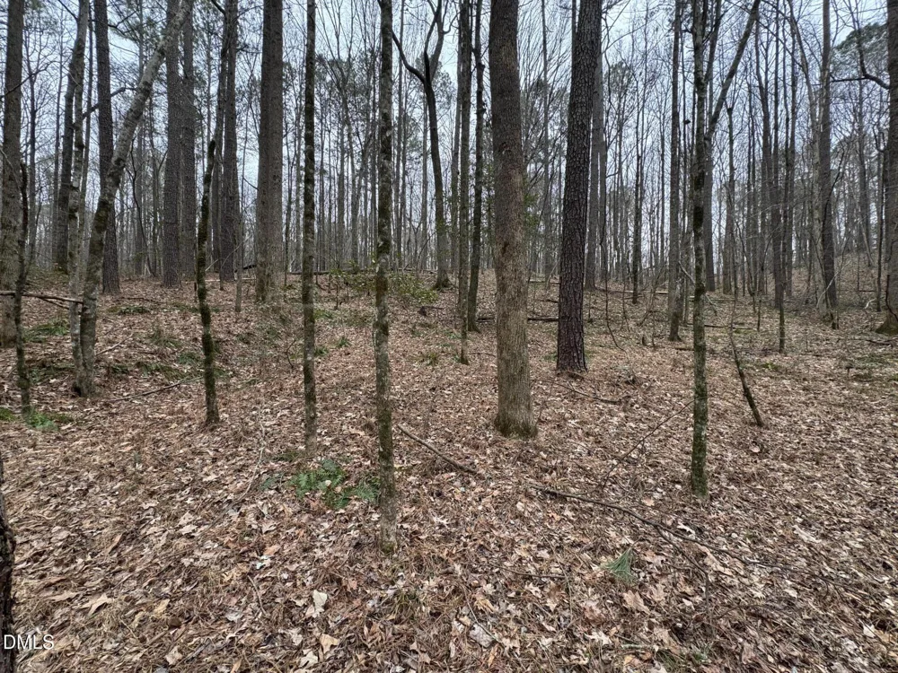 0 Eatmon Road Zebulon, NC 27597