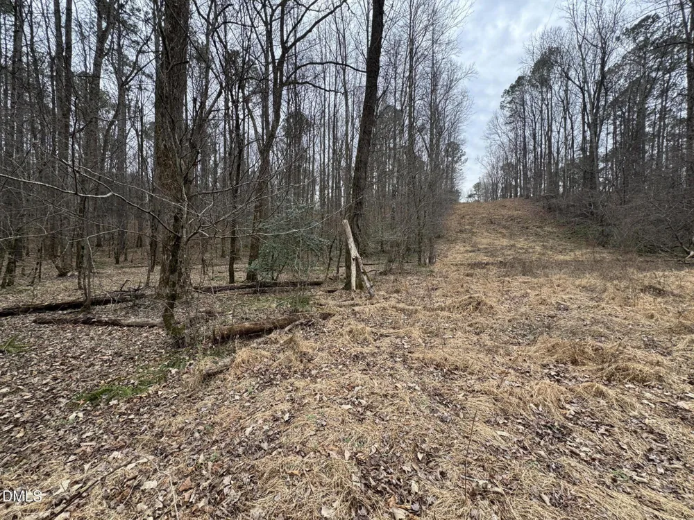 0 Eatmon Road Zebulon, NC 27597