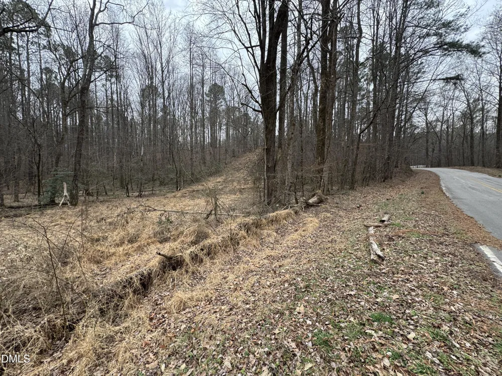 0 Eatmon Road Zebulon, NC 27597