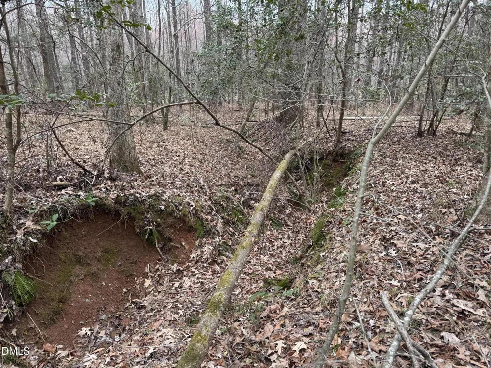 0 Eatmon Road Zebulon, NC 27597