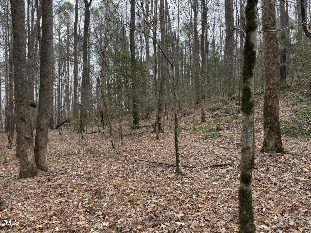 0 Eatmon Road Zebulon, NC 27597