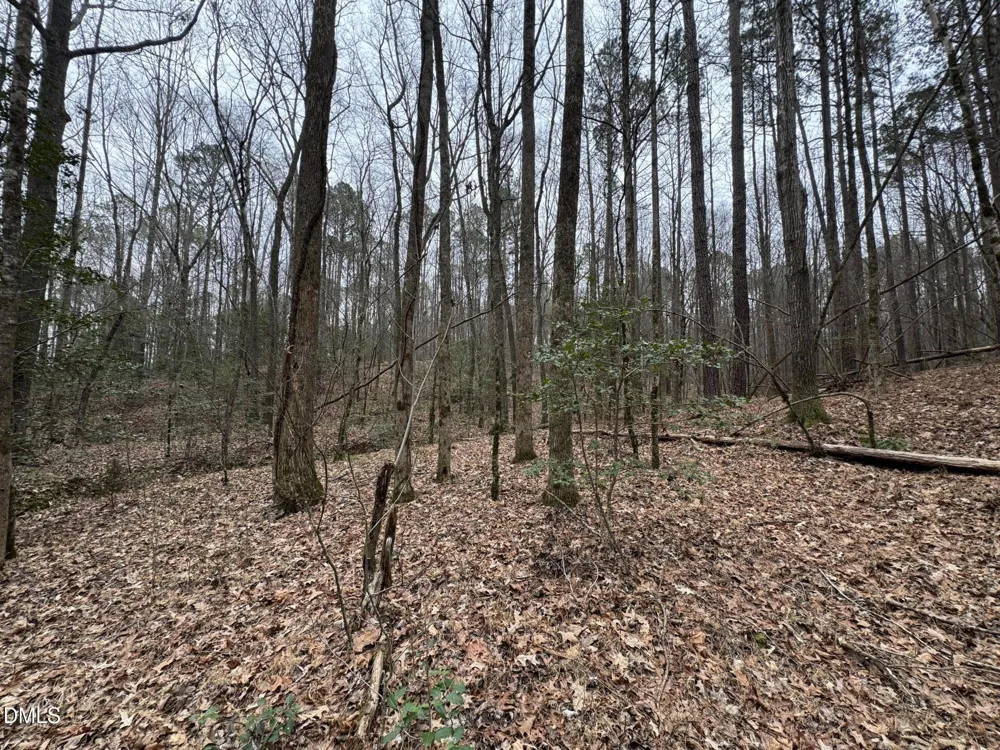 0 Eatmon Road Zebulon, NC 27597