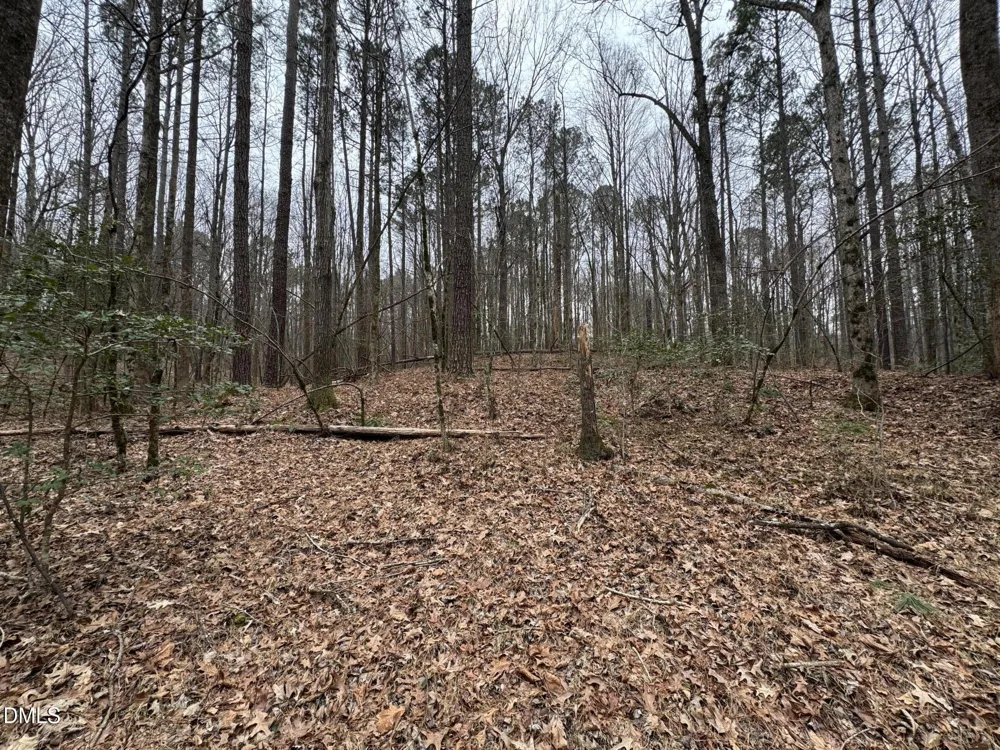 0 Eatmon Road Zebulon, NC 27597