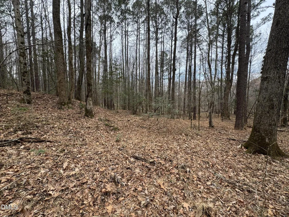 0 Eatmon Road Zebulon, NC 27597