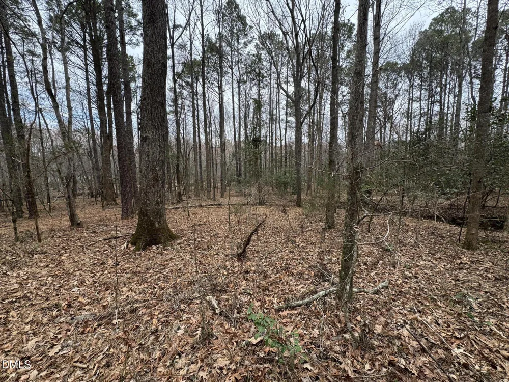0 Eatmon Road Zebulon, NC 27597