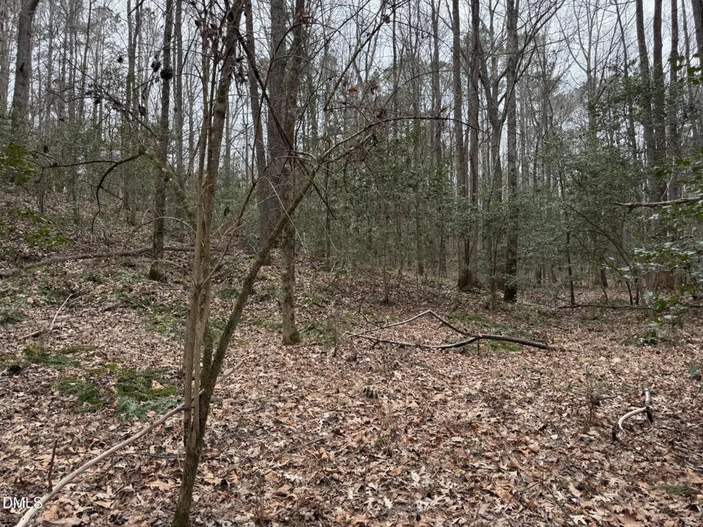 0 Eatmon Road Zebulon, NC 27597