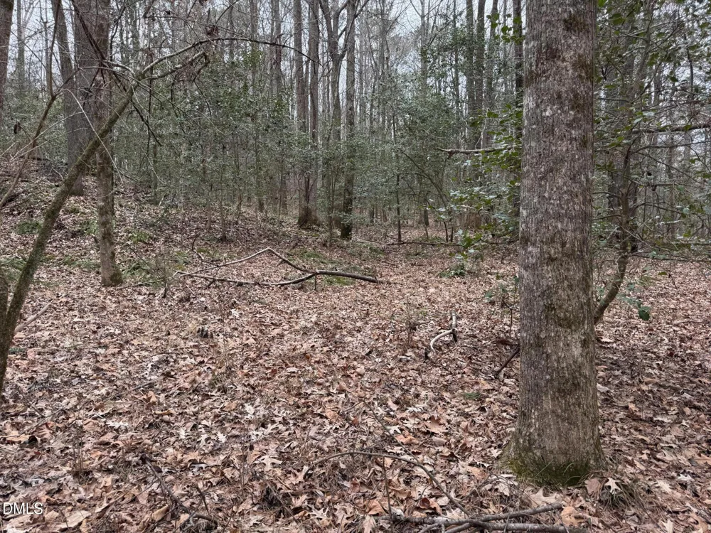 0 Eatmon Road Zebulon, NC 27597