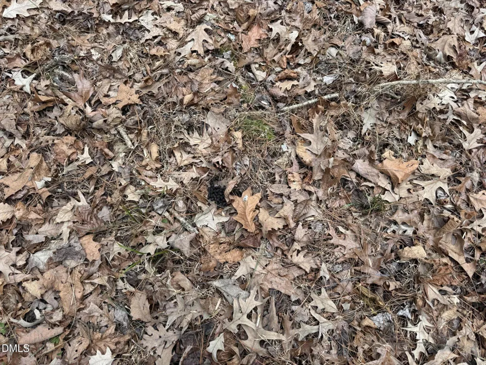 0 Eatmon Road Zebulon, NC 27597