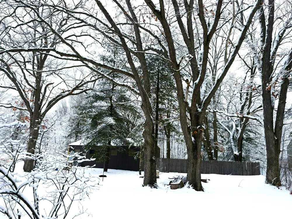 8890 US-131, S Green Lake Township, MI 49637