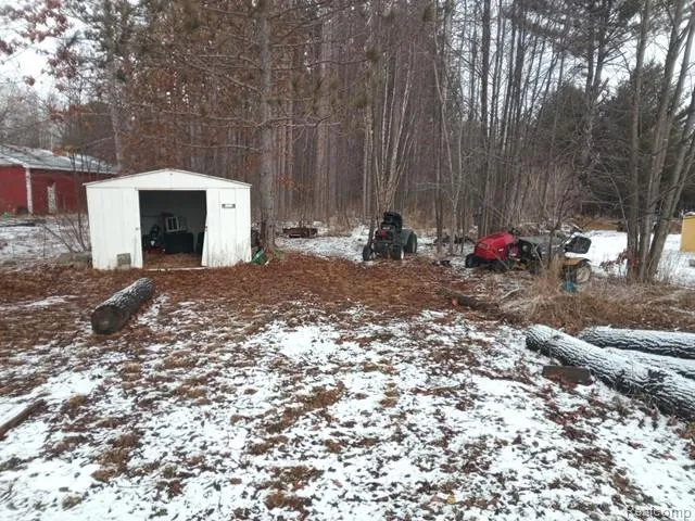 830 Ritchie Road Butman Township, MI 48624